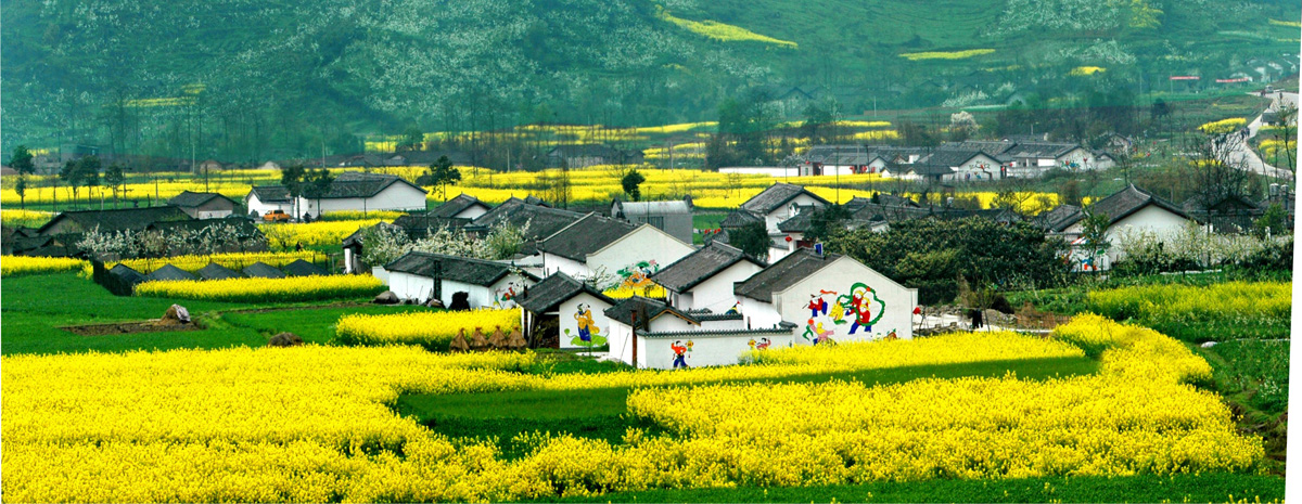 鄉村旅游發(fā)展