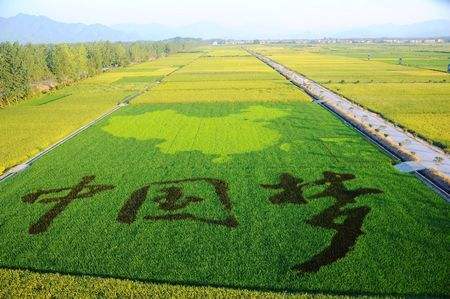 農業(yè)發(fā)展規劃1